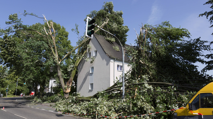 Wenn der Sturm wütet: Wohngebäudeversicherungen springen in solchen Fällen ein und zahlen.
