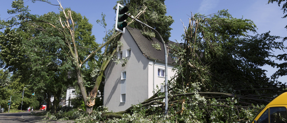 Wenn der Sturm wütet: Wohngebäudeversicherungen springen in solchen Fällen ein und zahlen.