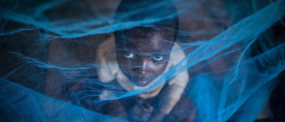 Die Hilfsprogramme zum Schutz vor Malaria, an der vor allem Kinder sterben, haben noch am wenigsten gelitten unter den Einschränkungen der Coronapandemie. „Katastrophal“ betroffen sind vor allem die TB- und HIV-Programme.