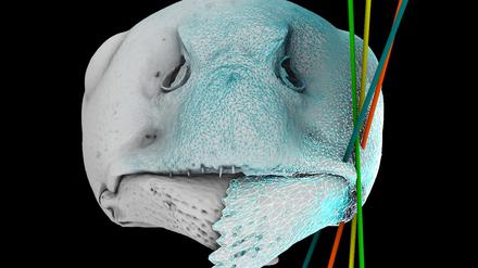 3D-Rekonstruktion des Kiefers einer Roten Waldameise.