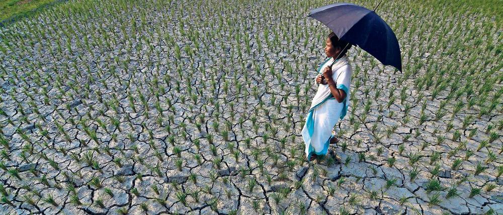 Hitzewellen, wie hier im Jahr 2015 in Indien gefährden Menschen direkt, können aber auch zu Ernteausfällen und Mangelernährung führen.