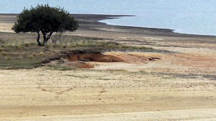 Dürre ist rund um das Mittelmeer schon heute oft ein Problem, wie hier am Fluss Ebro in Spanien im Jahr 2012.
