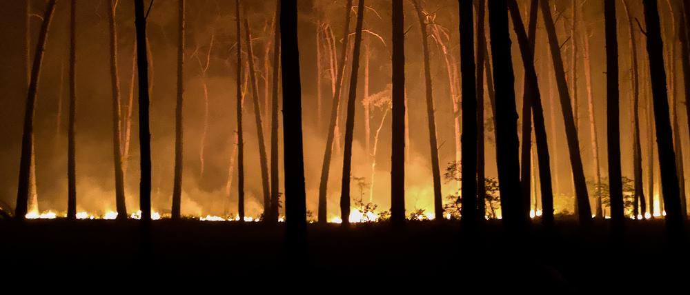 Die Waldbrandgefahr nahm laut DWD-Daten von rund 27 Tagen mit hohem Risiko von 1961 bis 1990 auf 38 Tage im Zeitraum 1991 bis 2020 zu. 