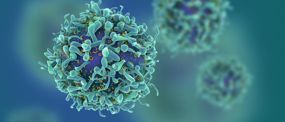 T-Zellen sind Killer, Helfer und das lebendige Gewissen des Immunsystems.