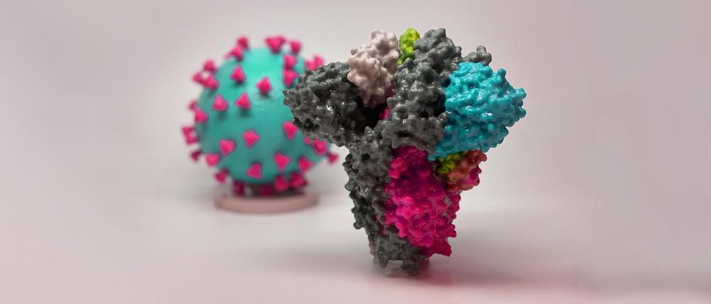 Selbstverteidigung: So modellhaft wie bei diesen Modellen  von Virus und dieses Virus und seinen Spike-Proteine bekämpfenden Antikörpern geht es in Wirklichkeit nicht immer zu.