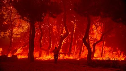 In Südeuropa wüten in den vergangenen Wochen immer wieder größere Waldbrände – wie hier in Griechenland auf Lesbos.