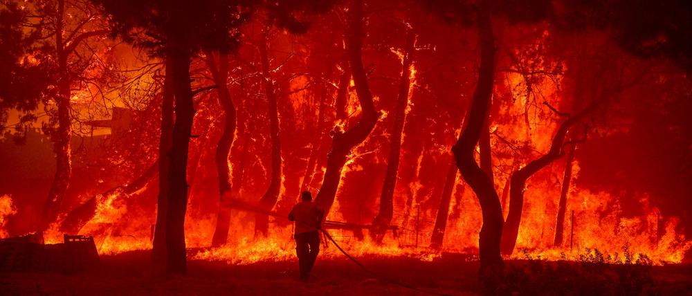 In Südeuropa wüten in den vergangenen Wochen immer wieder größere Waldbrände – wie hier in Griechenland auf Lesbos.