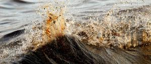 
Bei der Ölkatastrophe im Golf von Mexiko schluckten Bakterien den Großteil des Methangases, vermuten Forschende. Sicher ist: Vor Millionen von Jahren schon zersetzten Cyanobakterien Kohlendioxid im Ozean.