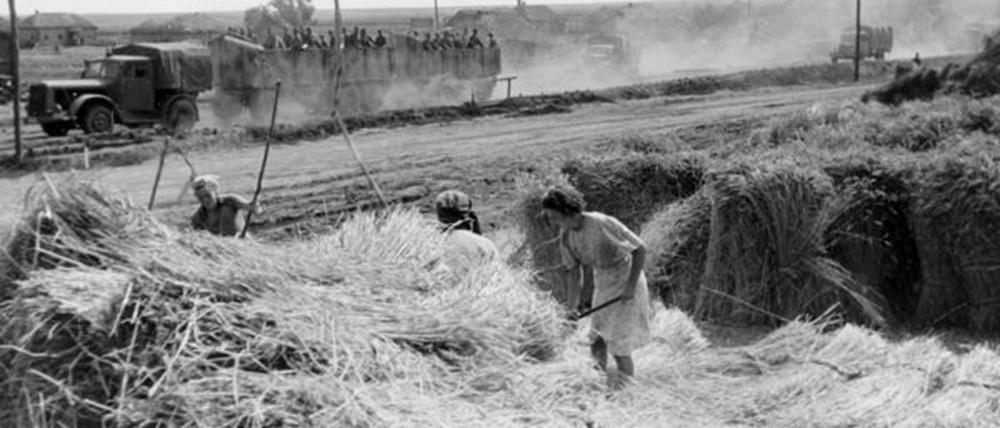 Das Motiv aus der nationalsozialistischen Propaganda zeigt einheimische Frauen 1943 bei der Getreideernte in der Ukraine. Im Hintergrund stehen gefangen genommene Soldaten der Roten Armee auf einem Lastwagen der Wehrmacht.