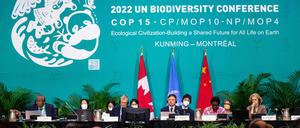 Chinas Umweltminister Huang Runqiu besiegelte das Abkommen am frühen Morgen des letzten Konferenztags.