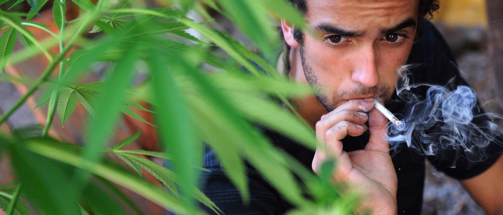 In Uruguay ist Cannabis weitgehend legalisiert. In Europa wäre Deutschland das erste Land, das über eine bloße Entkriminalisierung hinaus ginge.