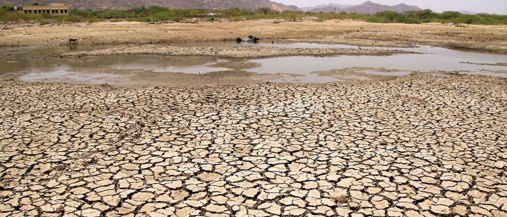 Dürren werden infolge der Klimakrise künftig deutlich häufiger auftreten und an Heftigkeit zunehmen.