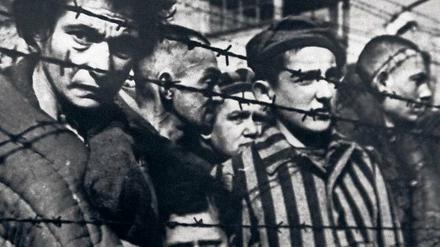 Gefangene des Vernichtungslagers Auschwitz bei der Befreiung.