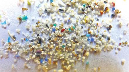 Anziehend. Welche Risiken von Mikroplastik in Gewässern ausgehen, beginnen Forscher gerade erst herauszufinden. In Hamburg, Bremen und Warnemünde wird seine Anziehungskraft auf Mikroorganismen untersucht – und mögliche Folgen. 