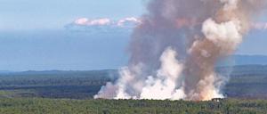 Manche arktischen Waldbrände, hier in Talkeetna bei Anchorage, können überwintern.