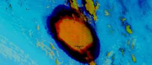 Falschfarbenaufnahme der Rauch- und Aschewolke, die der Unterwasservulkan am 14. Januar über die Insel Tonga verbreitet hat.