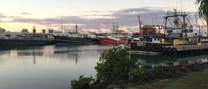 Langleinen-Fischerboote warten im Hafen von Honolulu auf das Auslaufen.