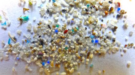 Mikroplastikkügelchen auf einem Blatt Papier. Die kleinen Plastikteilchen mit einer Größe unter fünf Millimetern verschmutzen die Meere und werden oft von Fischen und anderen Meeresbewohnern aufgenommen.