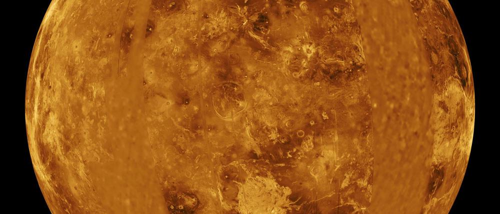 Auf der Venus herrschen extreme Temperaturen und hoher Druck. Ob dort irgendeine Form von Leben existieren kann, ist umstritten. Und auch, ob ein seltenes Gas, das in der Atmosphäre gefunden wurde, auf Lebensprozesse hindeutet.