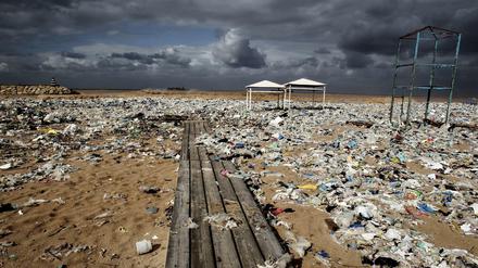 Ein Teil des Plastikmülls der über viele Jahre im Meer treibt, wird bei auflandigen Winden an Strände gespült. Säuberungsaktionen sind kostspielig, aber nicht so teuer wie die verursachten Schäden.
