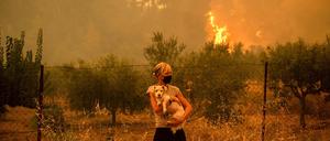 Trockenheit und Hitze: Die Klimakrise wird laut dem Weltklimarat häufiger günstige Wetterbedingungen für Brände hervorbringen.