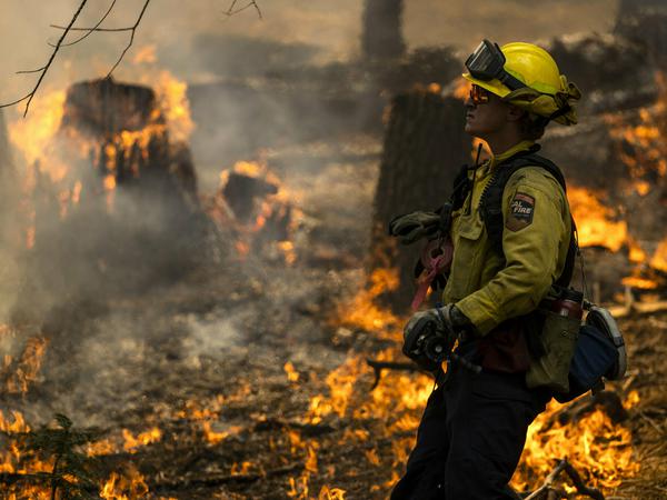 Mehr als 1000 Feuerwehrleute bekämpften bislang die Waldbrände im Yosemite-Nationalpark.